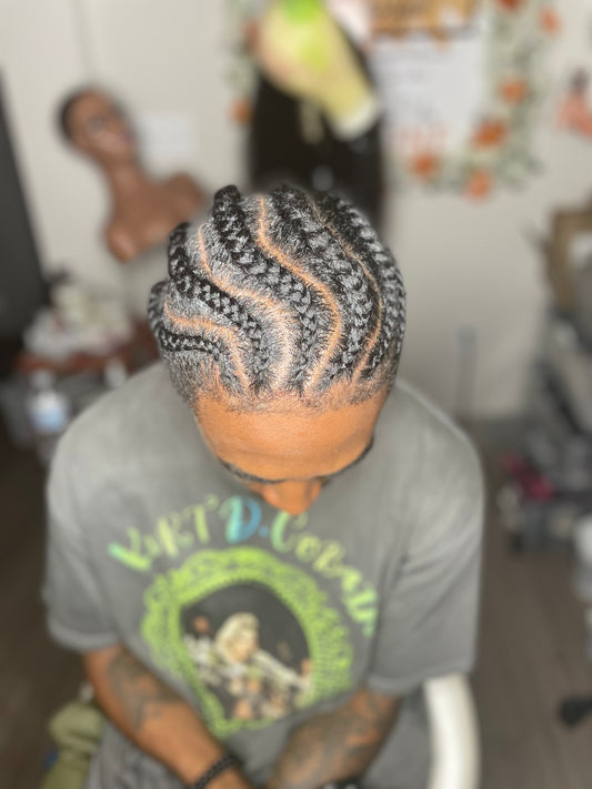 Braids + Twists Styles